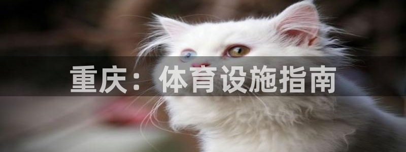 尊龙官网APP下载