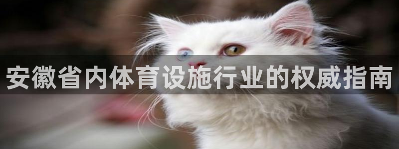 尊龙手机客户端下载APP