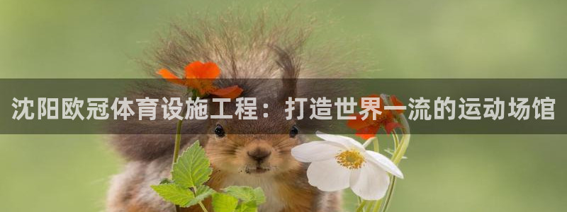 尊龙凯时怎么样没听说过