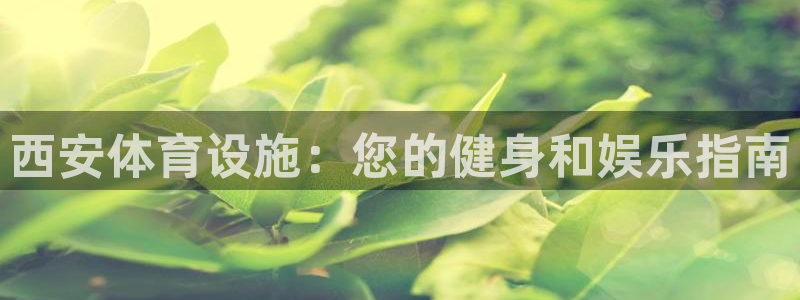 尊龙现金娱乐 下载