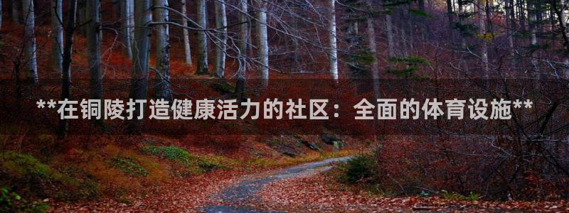 尊龙用现金一下可靠送38元