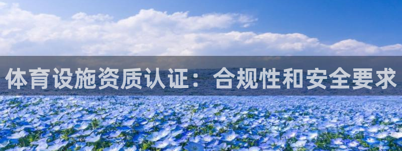 尊龙游戏官方网