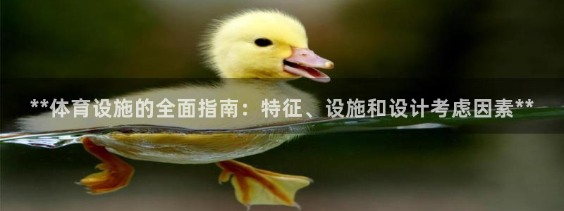 尊龙人生就是博旧版现金娱乐一下