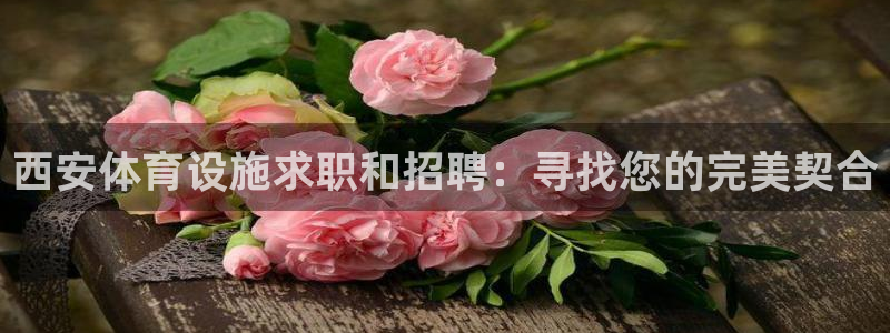 尊龙人生就要博旧版