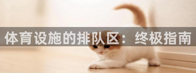 尊龙怎么没消息了