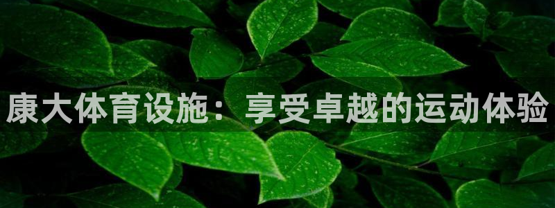 尊龙旗舰app