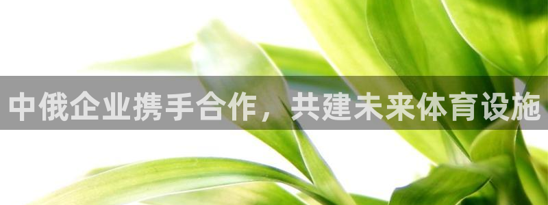 尊龙app最新版本官网