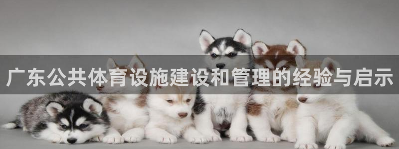 z6尊龙凯时