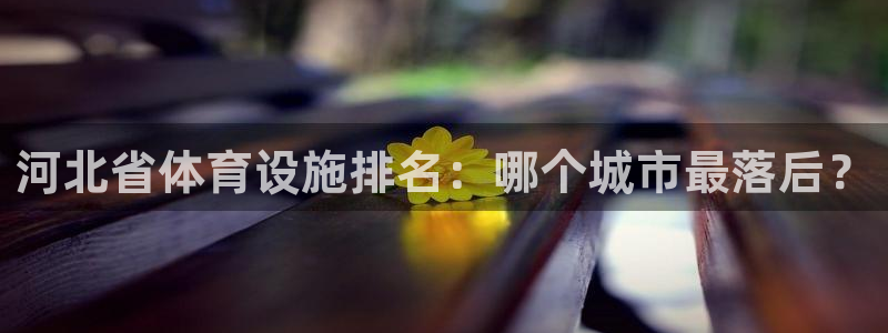 凯时官网下载客户端