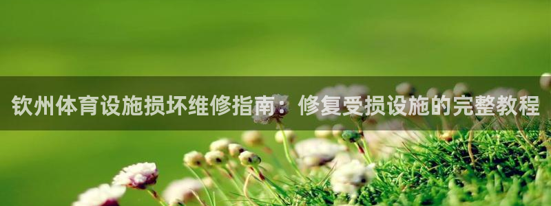 ag尊龙怎么样