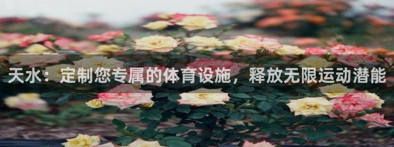 d88尊龙手机登录下载