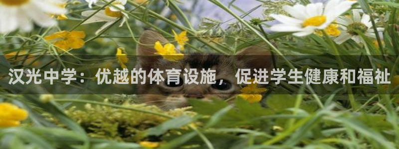 尊龙凯时人生就是搏技术实力