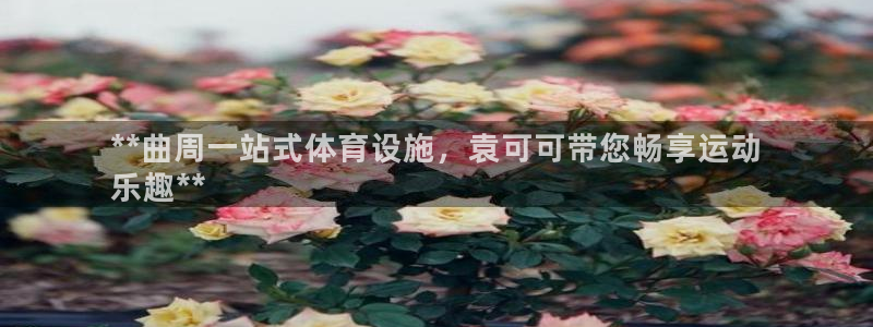 尊龙凯时家居是品牌吗
