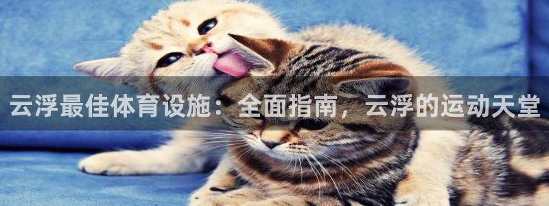 尊龙网站手机下载