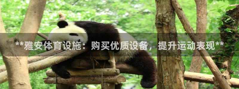 凯时国际娱乐官方网址