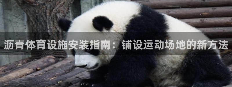 尊龙凯时能做退米么