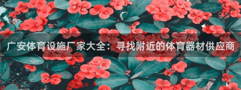 尊龙登录会员登录