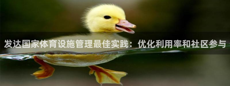 凯时平台怎么样