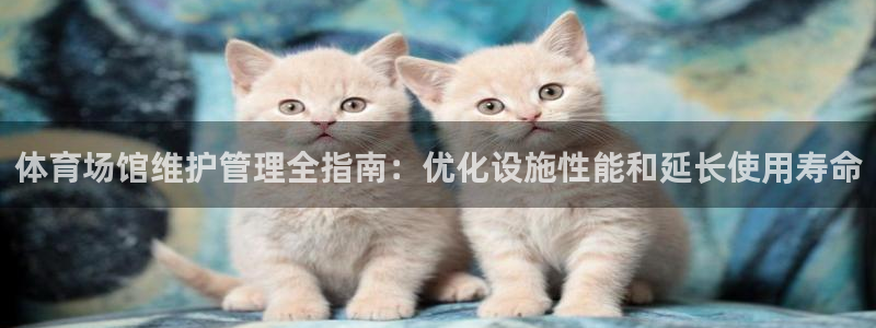 尊龙新版人生就是博!