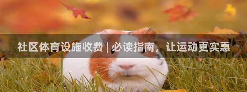 尊龙凯时百家乐手机下载