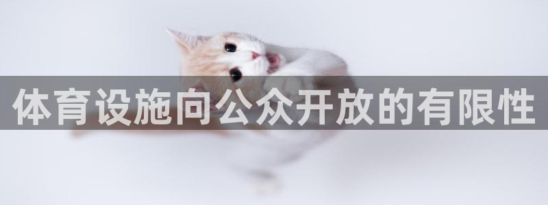 尊龙凯时麻将胡了