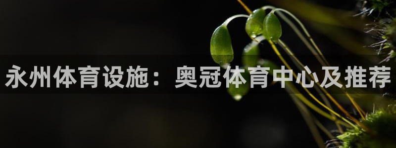 尊龙凯时人生就是搏!平台