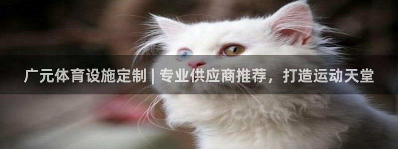 凯时国际平台有人赢吗