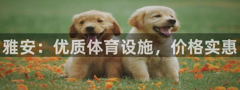 凯时国际娱乐官方网址