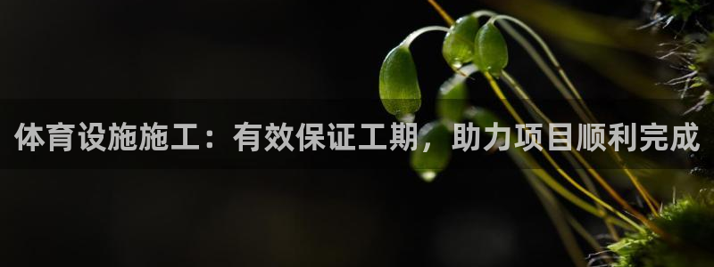 尊龙凯时人生就是搏!平台