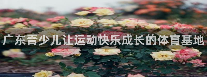尊龙凯时平台入口
