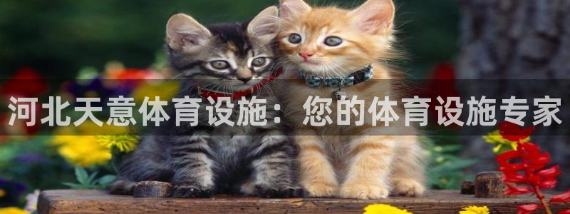 尊龙凯时 人生就是搏!平台
