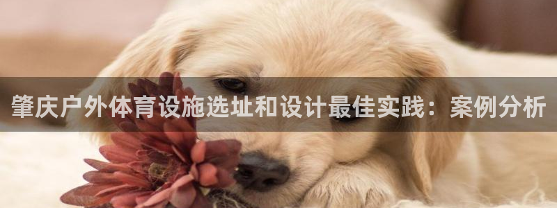 尊龙体育游戏平台