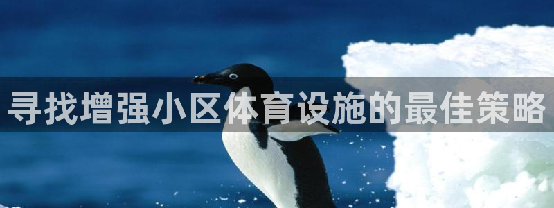 尊龙app官网登录