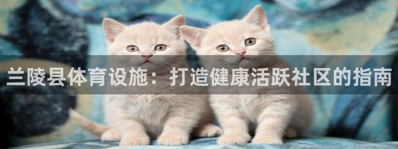 尊龙网址是多少