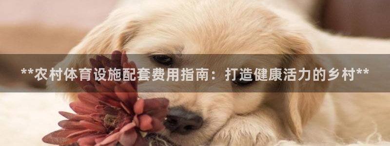 尊龙凯时 人生就是搏!