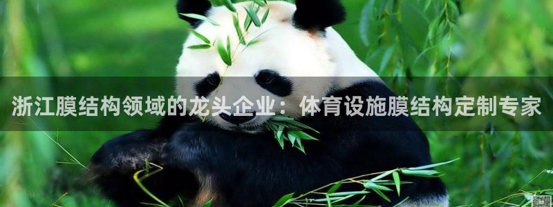 尊龙游戏官方网