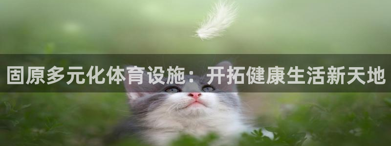 尊龙网站注册站注册