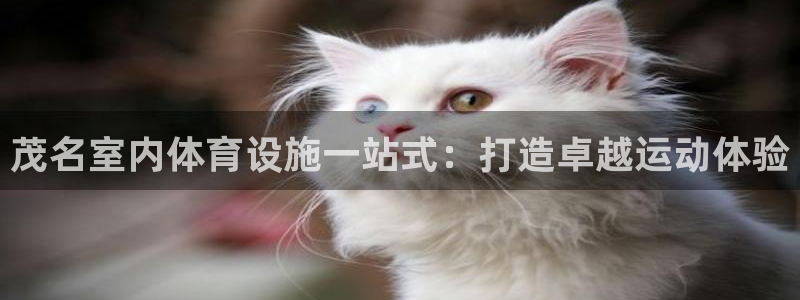 尊龙实业有限公司是正规还是仿