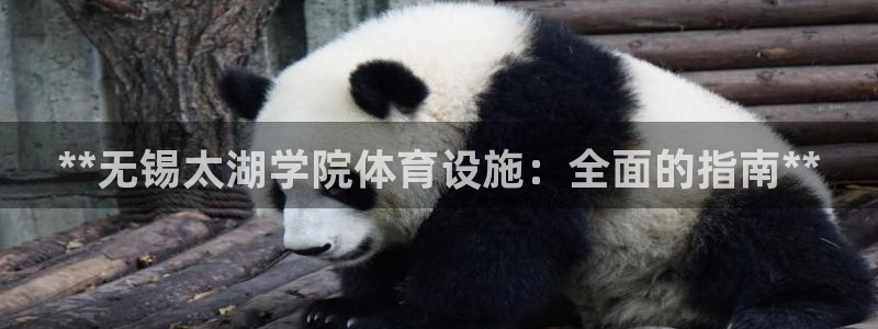 尊龙凯时网