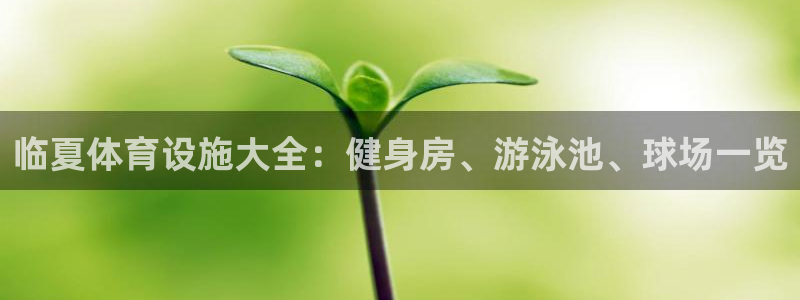 尊龙凯时平台官网