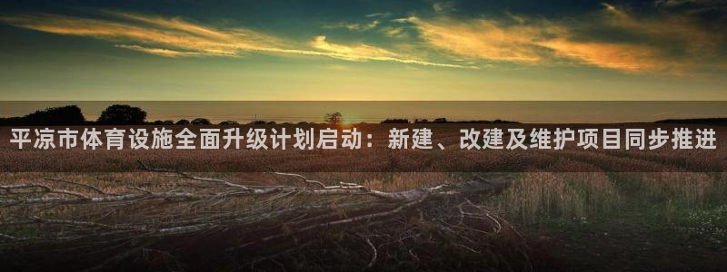 ag尊龙怎么样