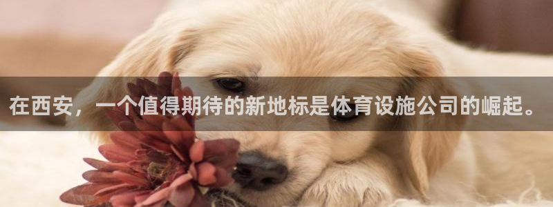 尊龙凯时登录