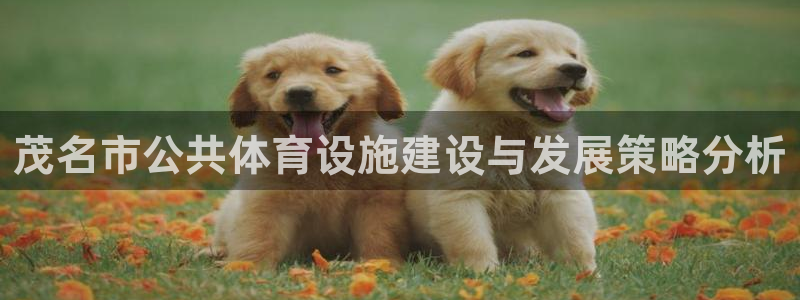 尊龙凯时下载人生就是博