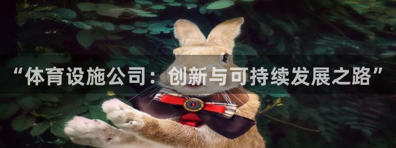凯时尊龙app国际官方网站