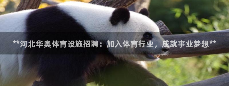 尊龙人生就是搏