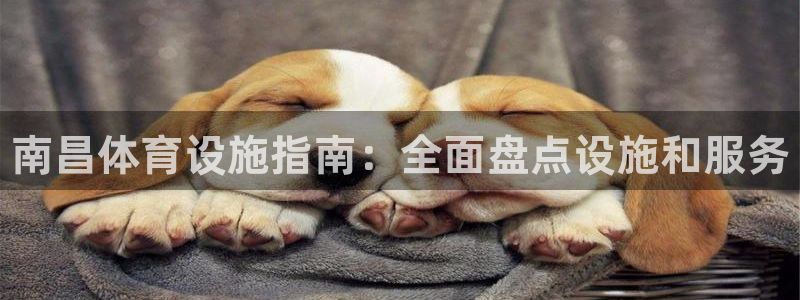 尊龙实业 吴友良