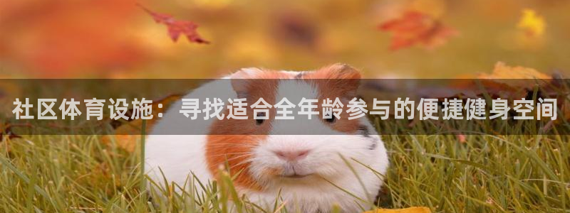 尊龙凯时白家乐