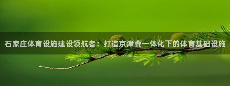 尊龙信息科技有限公司