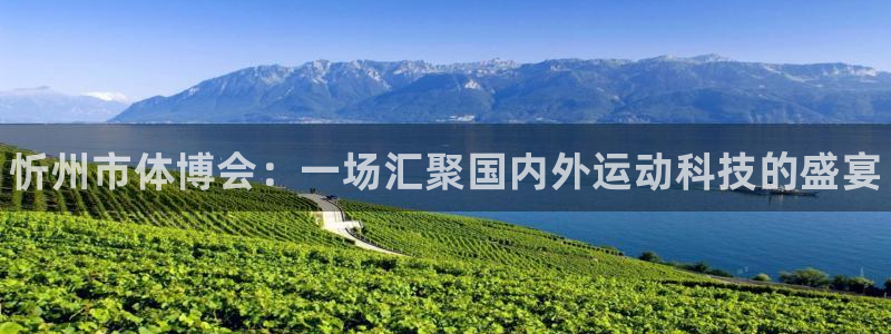 d88尊龙平台开户