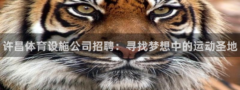 尊龙人生就是博旧版现